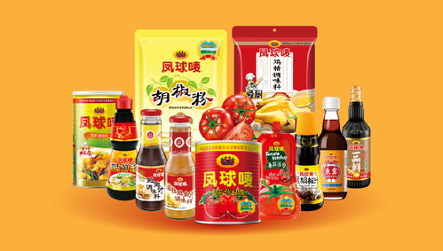 鳳球嘜 以戰略重塑品牌，用視覺點燃味蕾——調味品行業品牌全案策劃解析